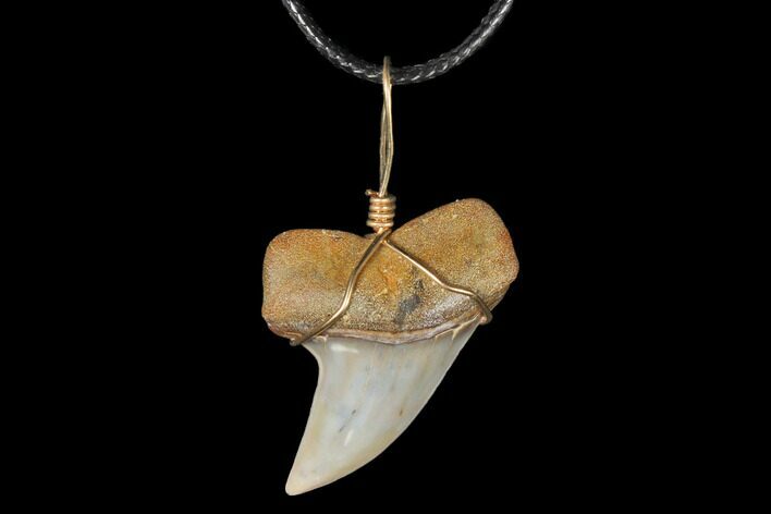 Fossil Mako Tooth Necklace - Bakersfield, California #130873